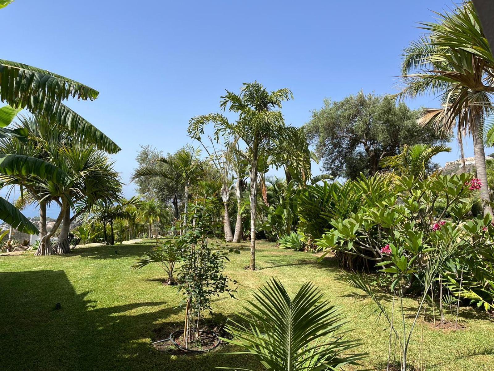 Bed & Breakfast In Villa Eden Palm Benalmádena Dış mekan fotoğraf